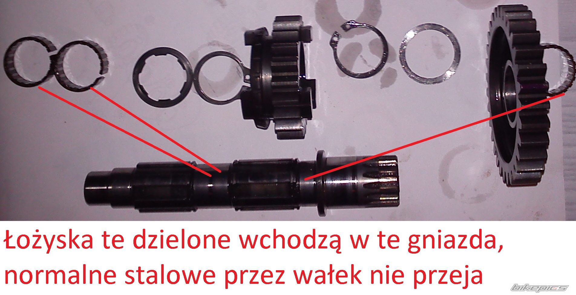Photo 2518161