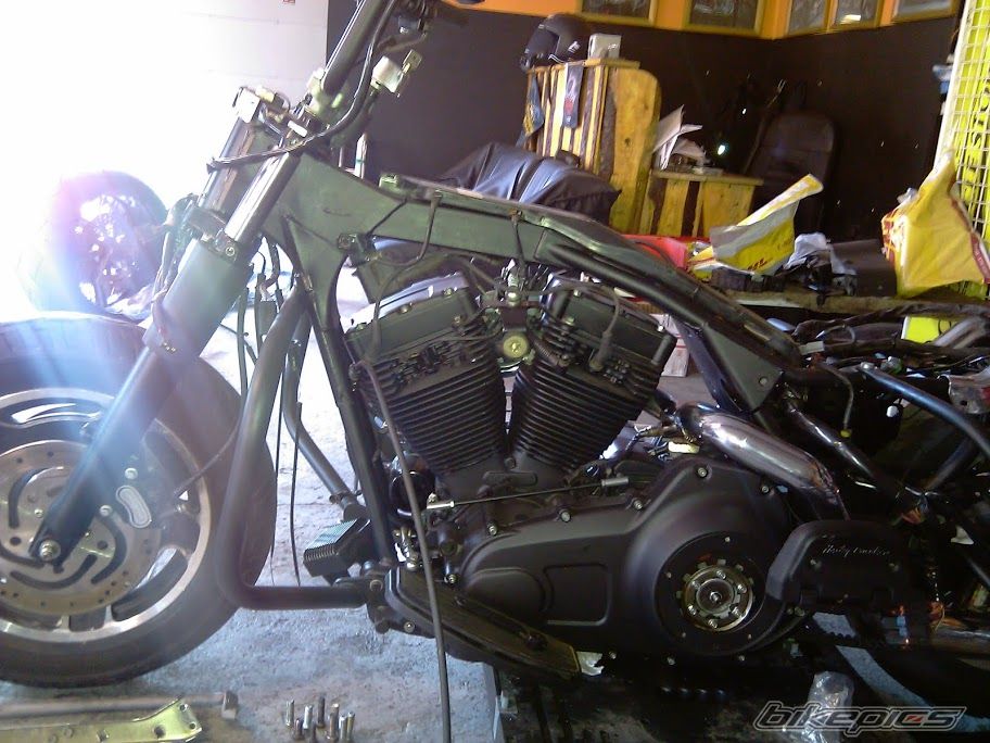 Photo 2518164