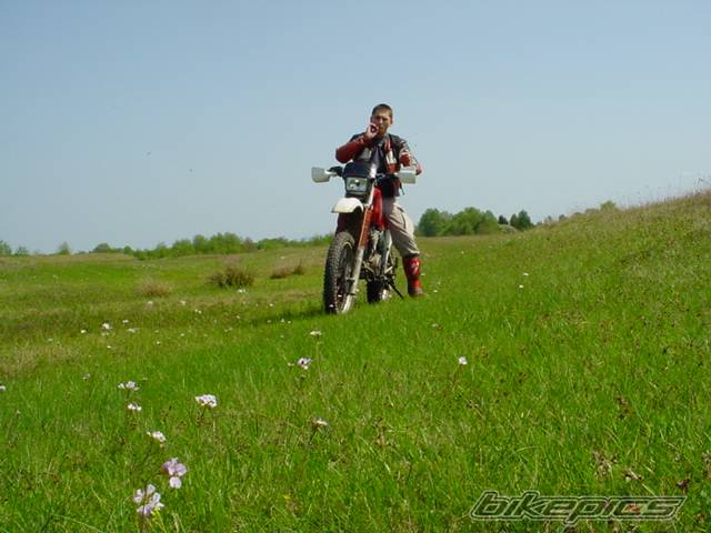 Photo 25182