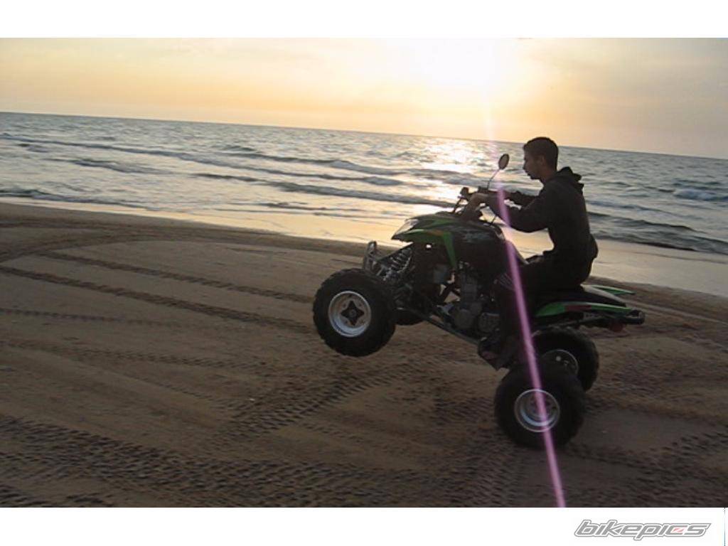 Photo 251821