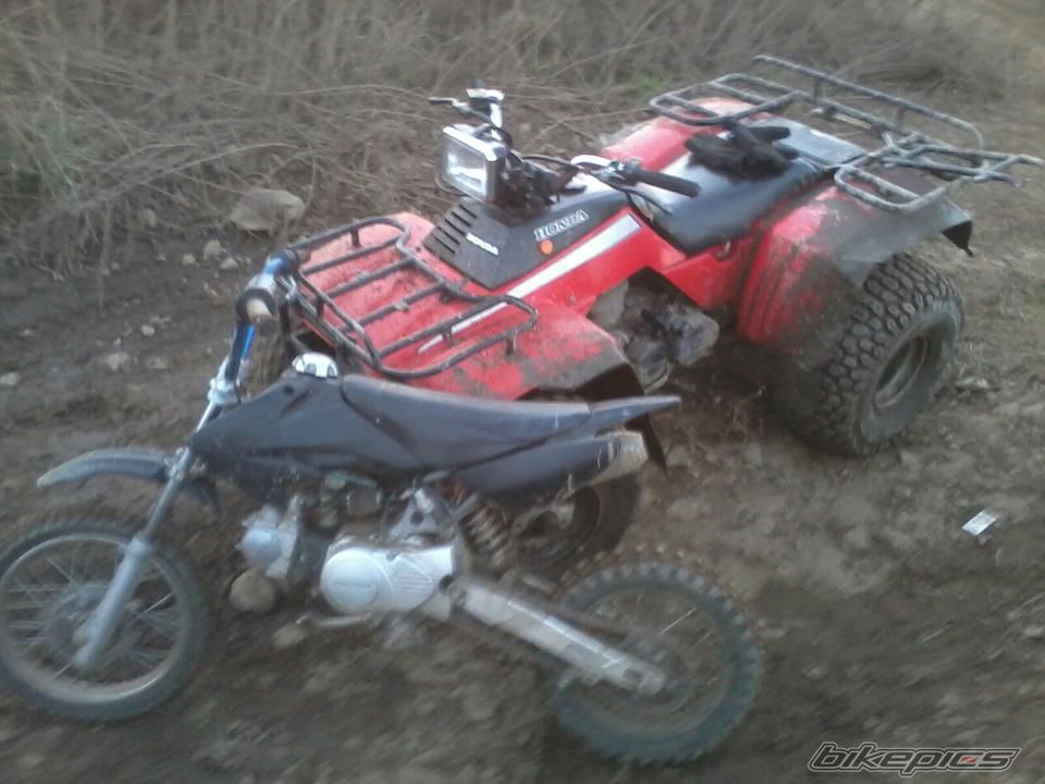 Bike Photo 2518271