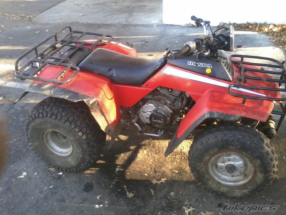Bike Photo 2518272