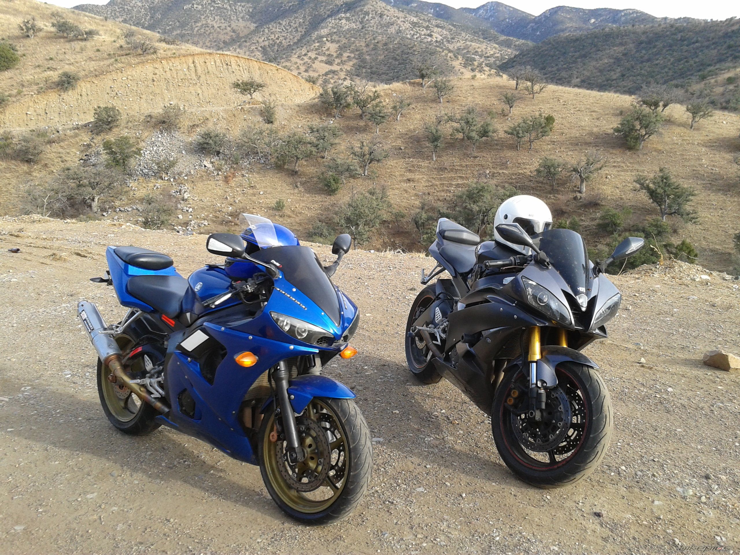 Photo 2518295