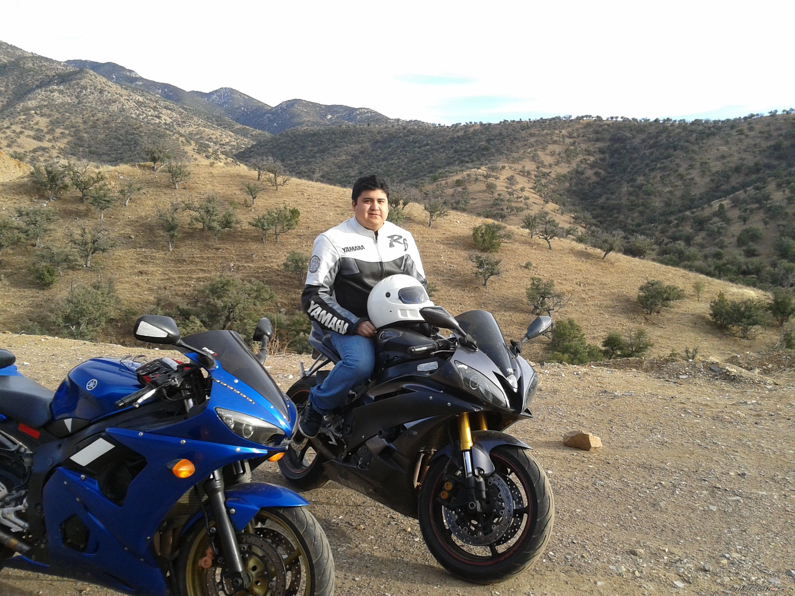 Photo 2518296