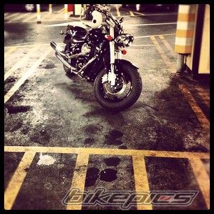 Photo 2518303