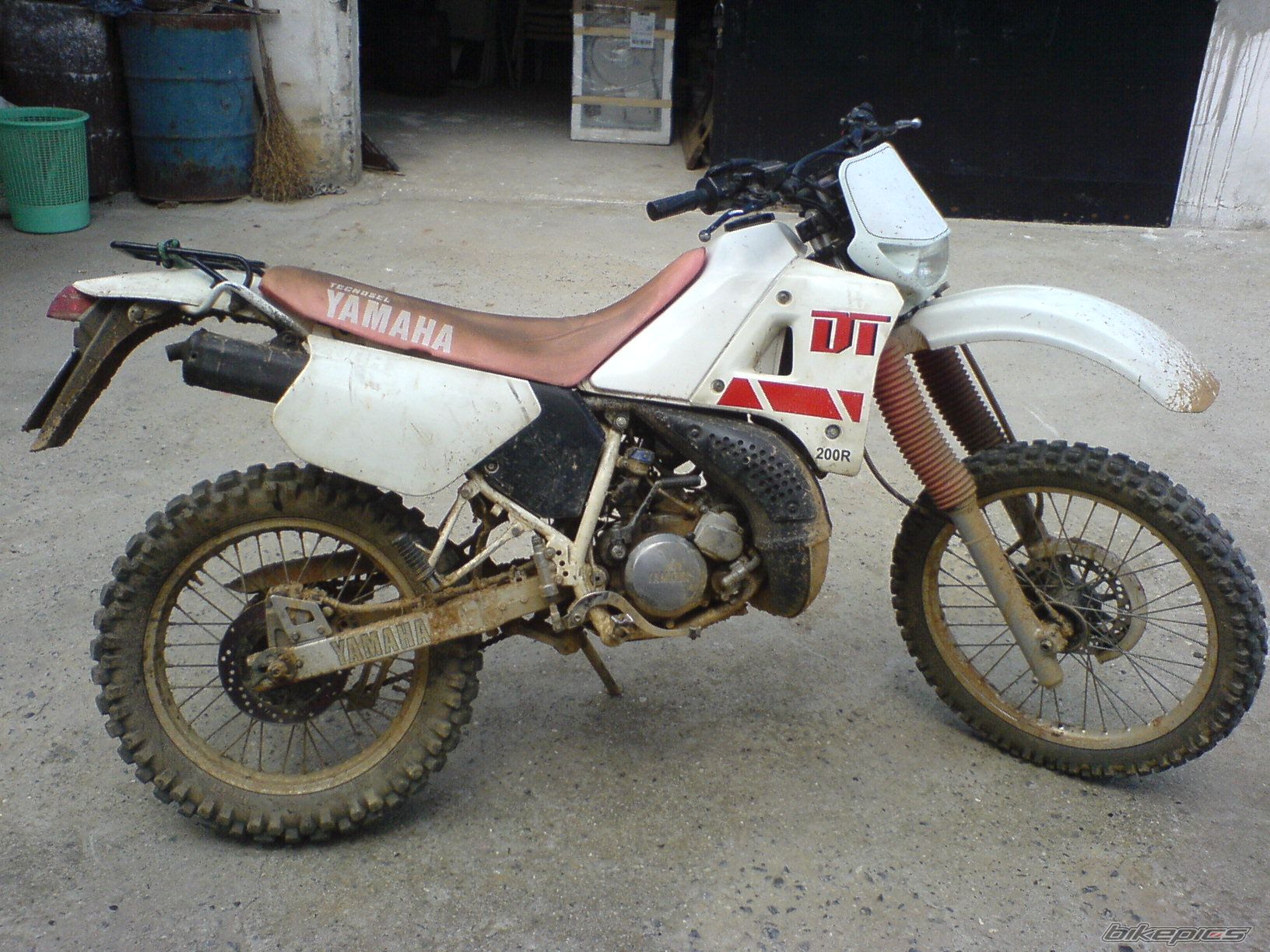 Photo 2518393