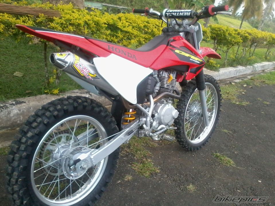 Photo 2518428