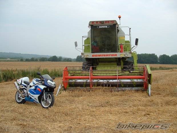 Photo 251859