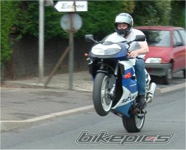 Photo 251864
