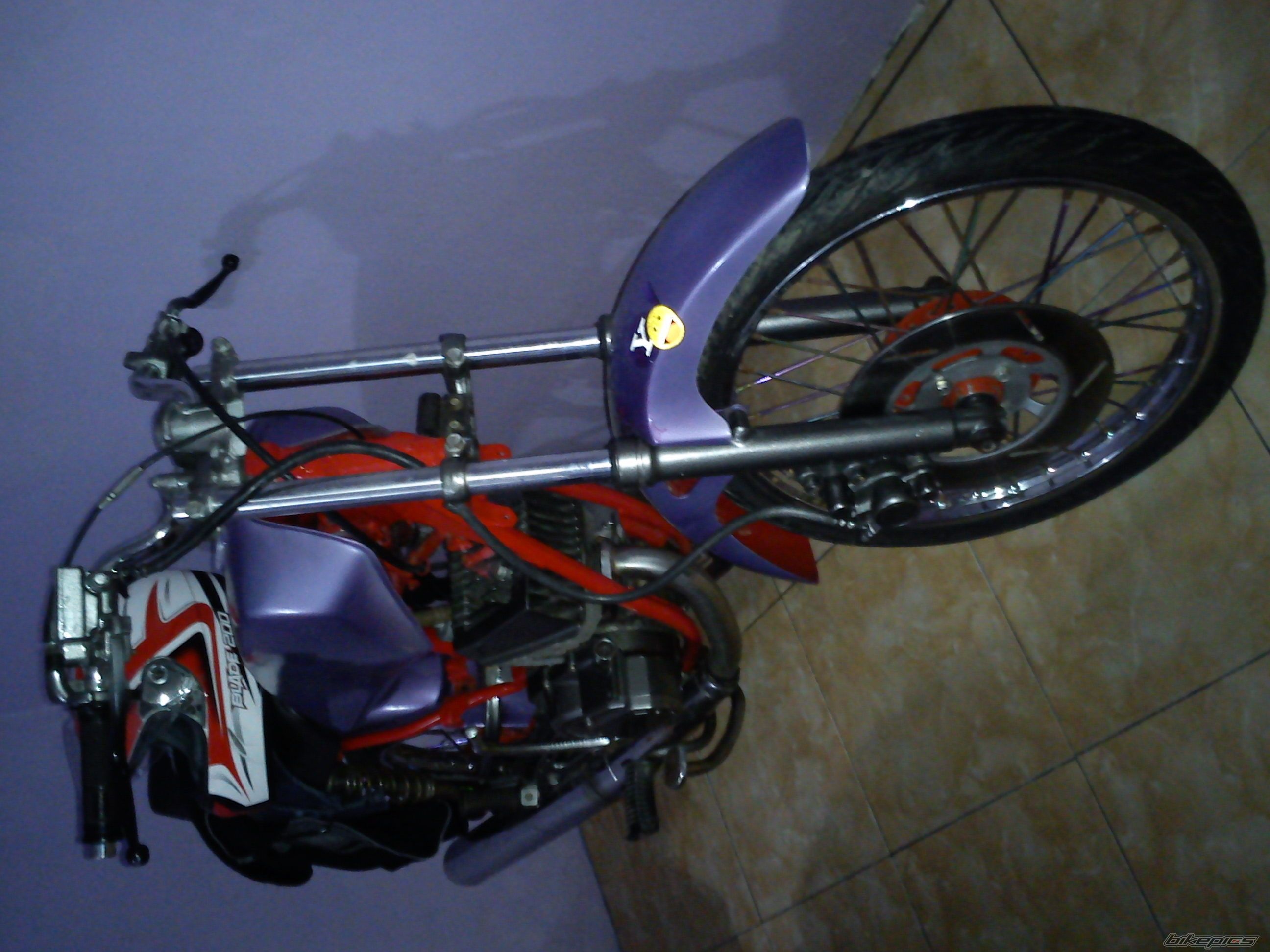 Photo 2518655