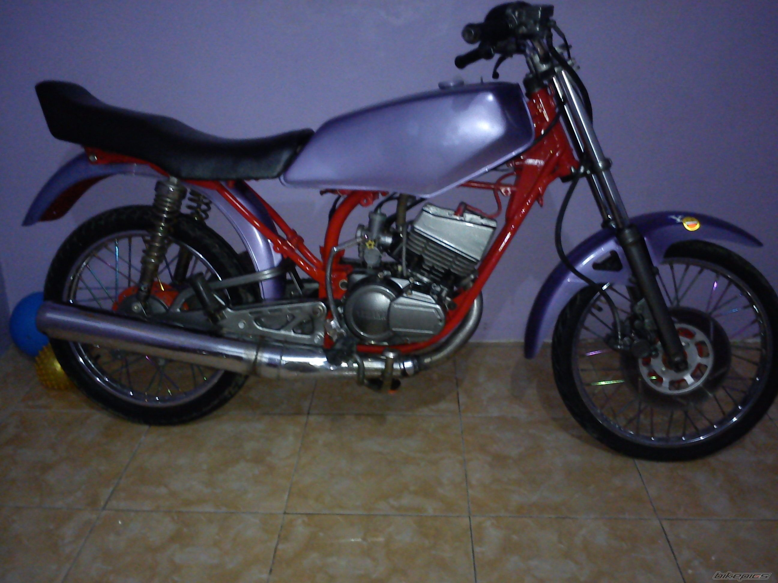 Photo 2518658