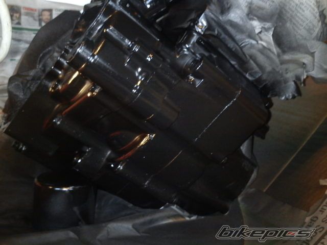 Photo 2518679