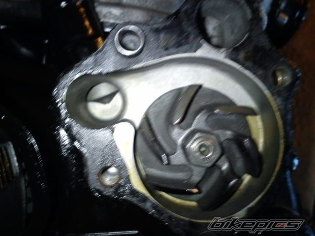 Photo 2518682