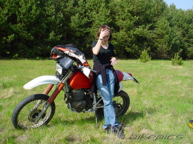Photo 25187