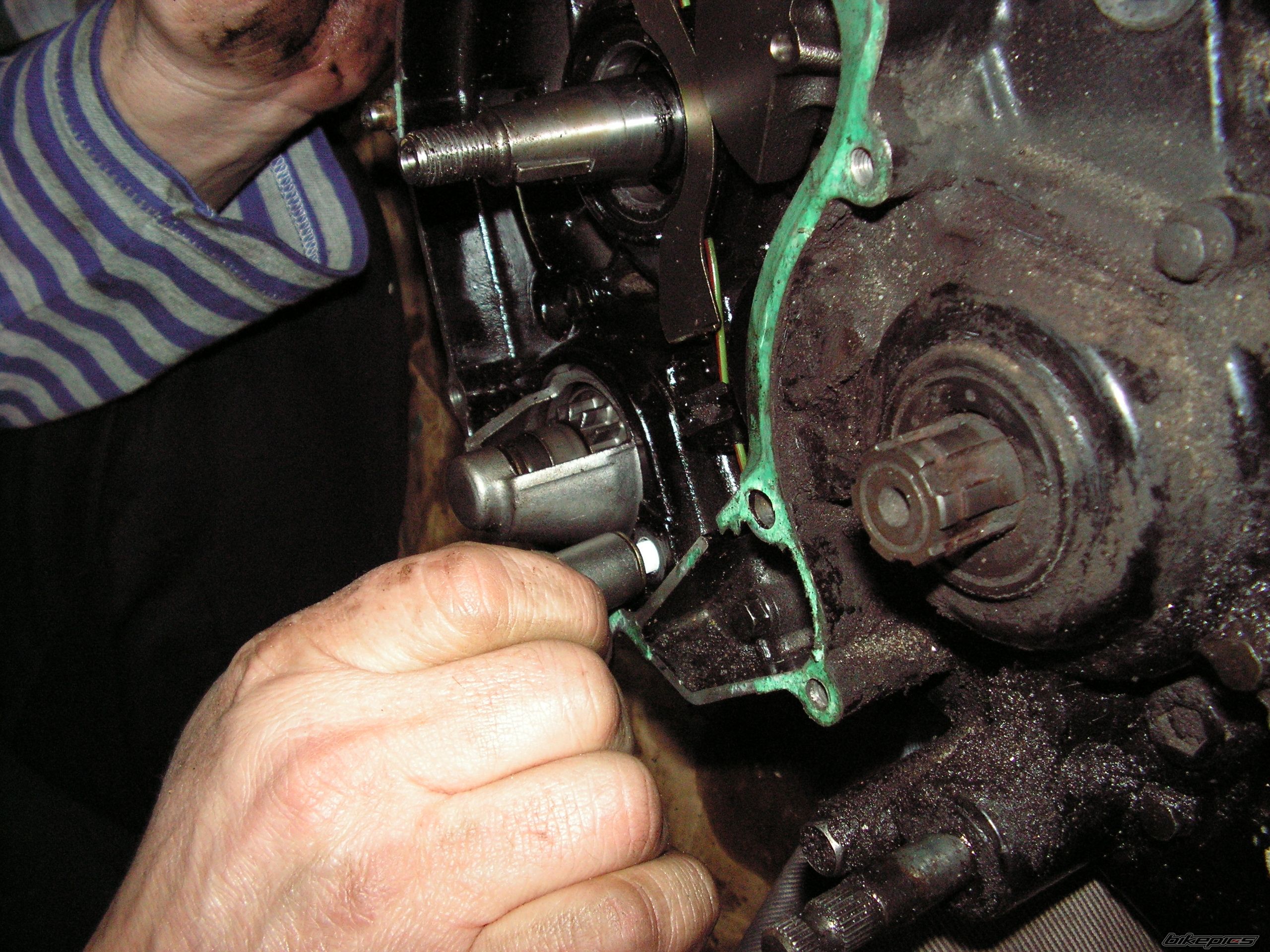 Photo 2518725