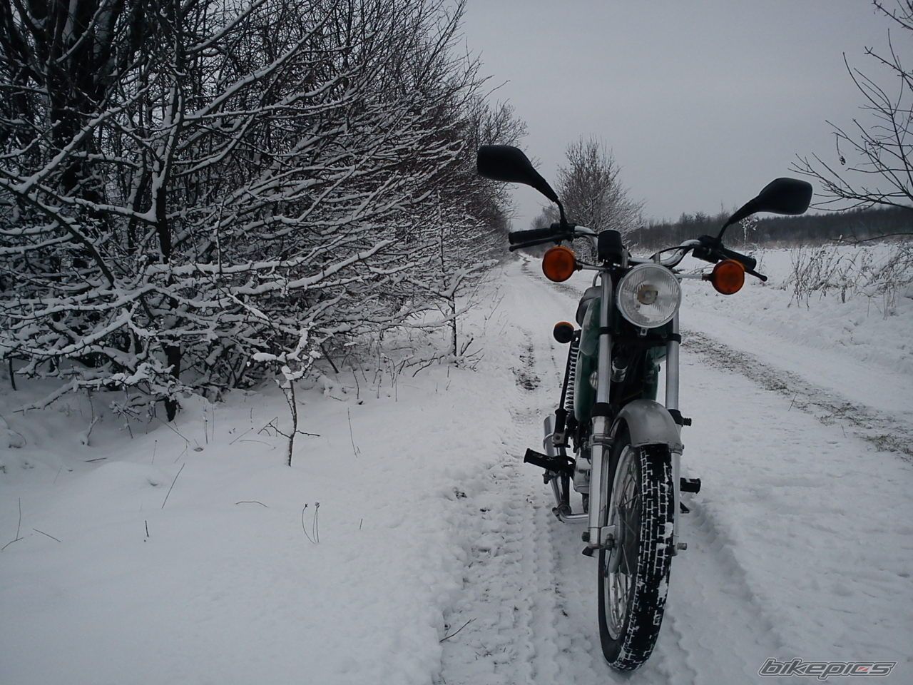 Photo 2518792