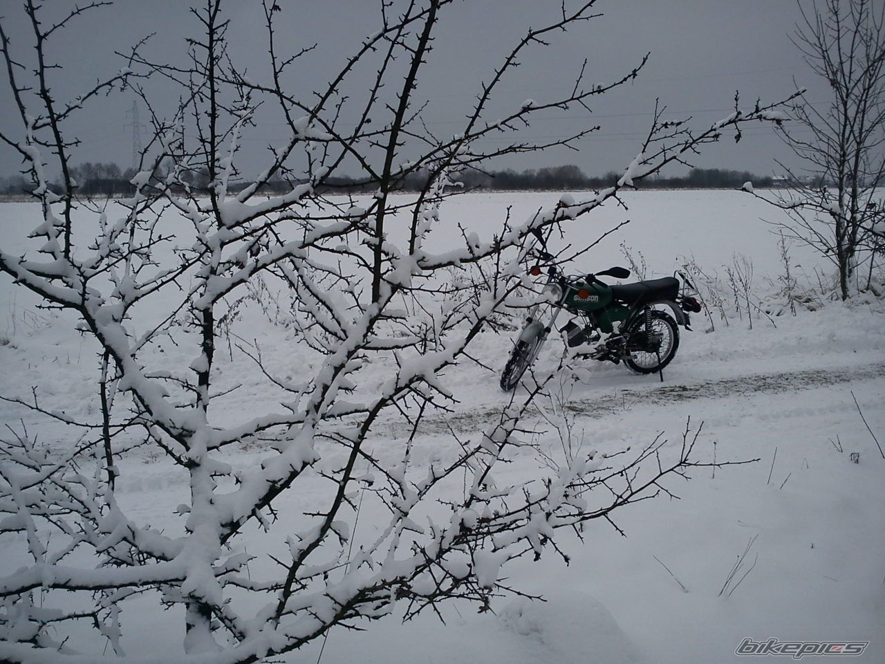 Photo 2518794