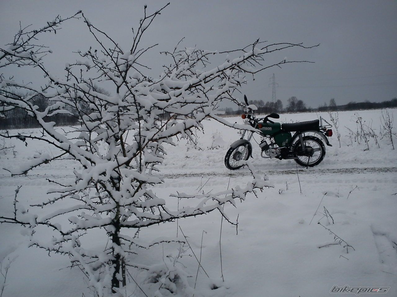 Photo 2518795