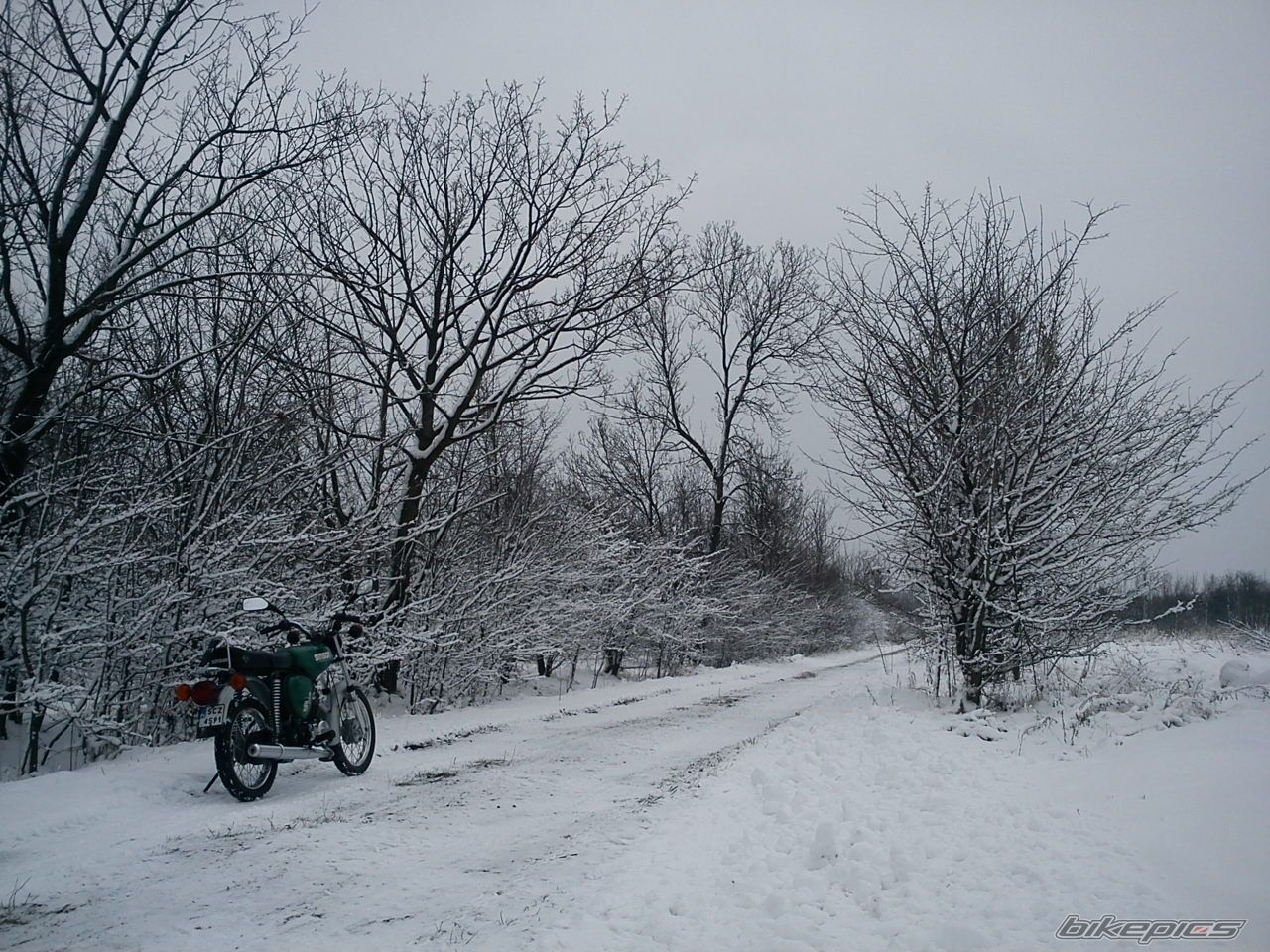 Photo 2518798