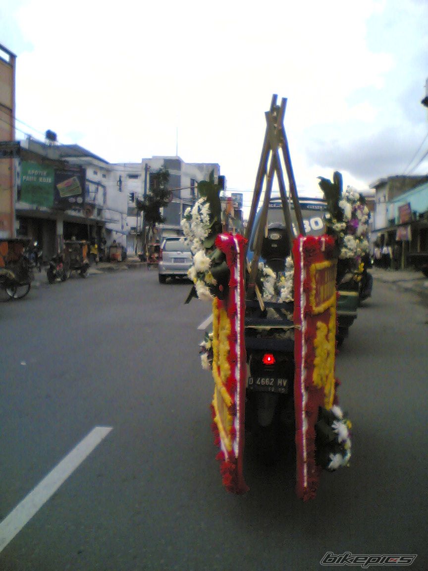 Photo 2518811