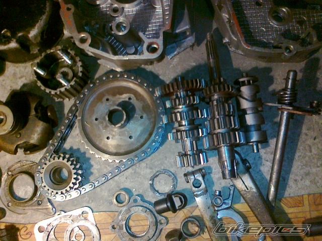 Photo 2518817