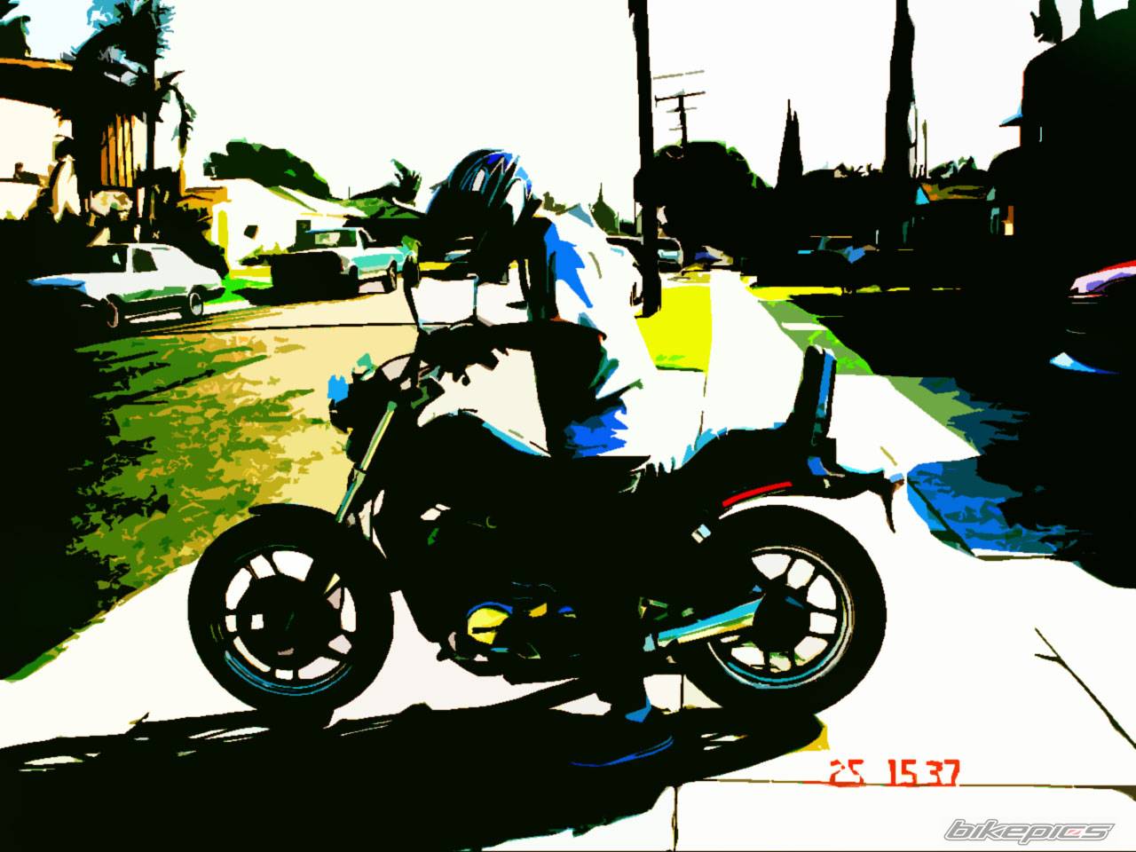 Photo 251886