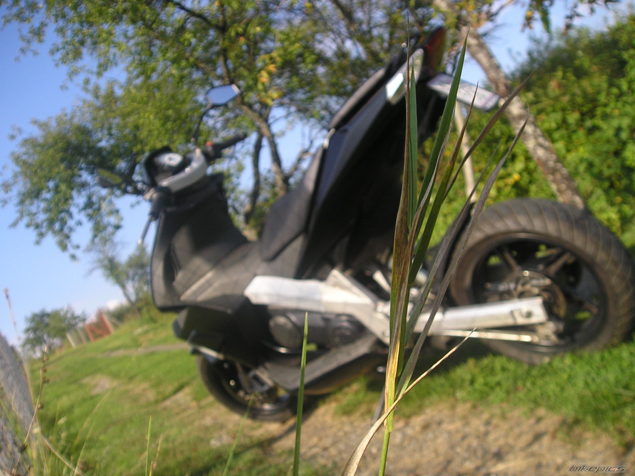 Photo 2518873