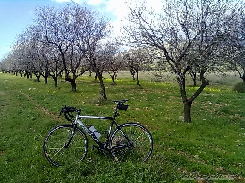 Bike Photo 2518899