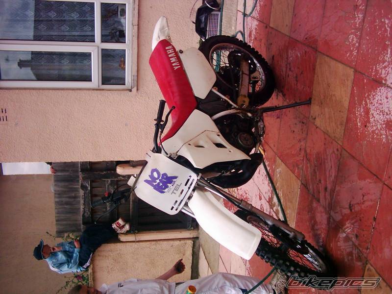Photo 251890
