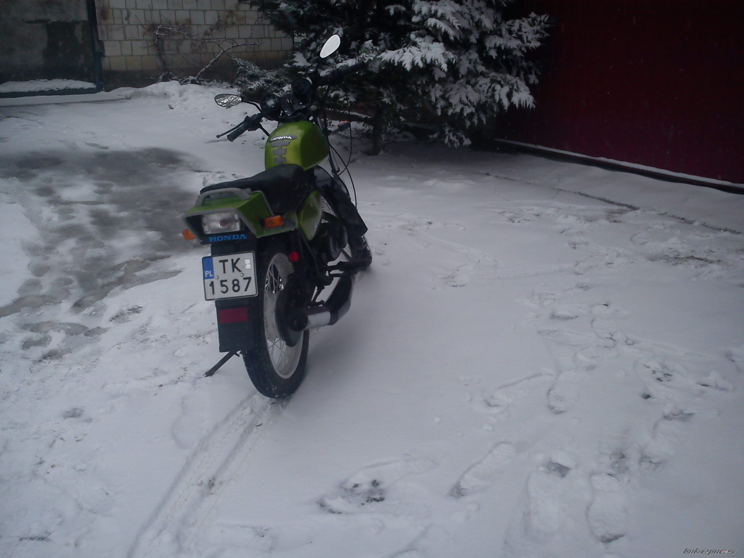 Photo 2518995