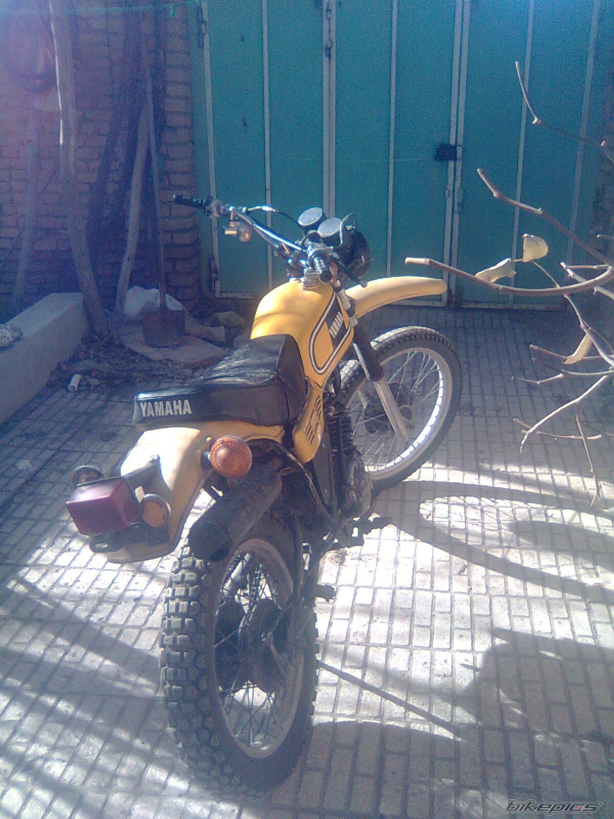 Photo 2519036