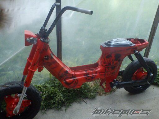 Photo 2519143