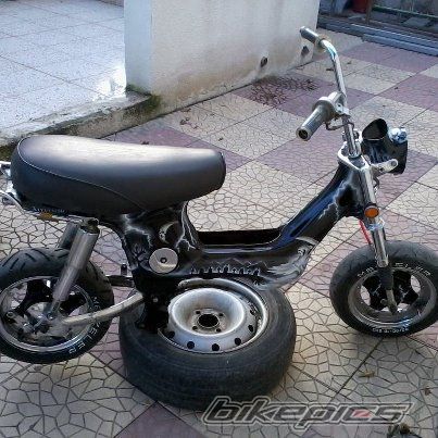 Photo 2519157