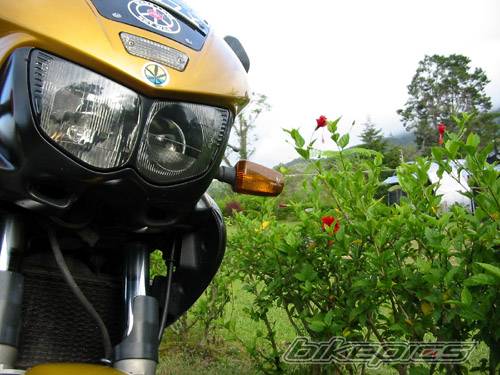 Bike Photo 251918