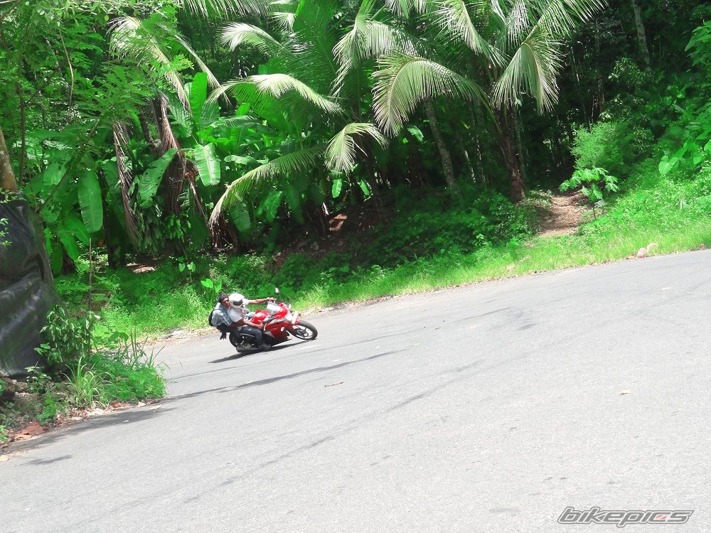 Photo 2519220