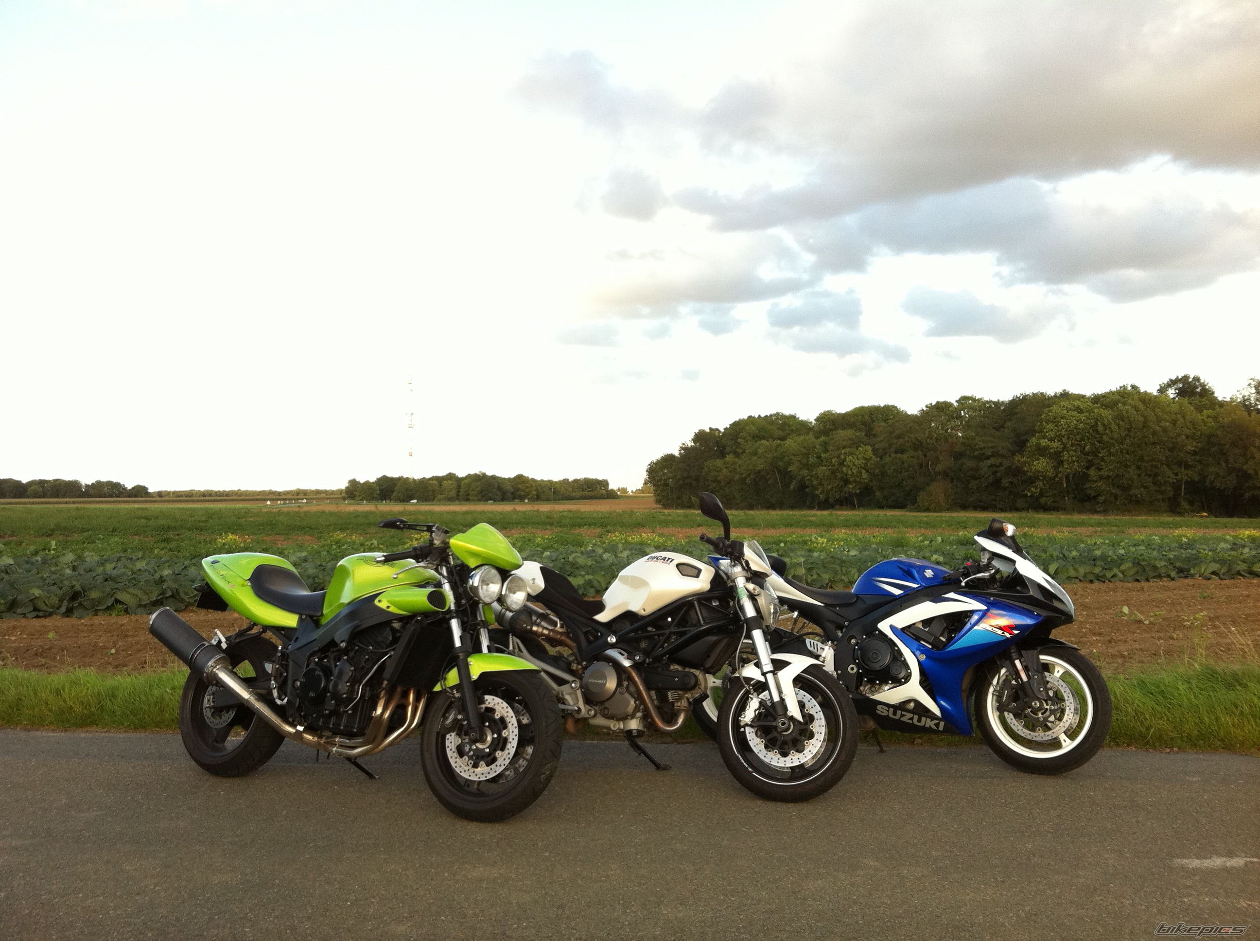 Photo 2519222