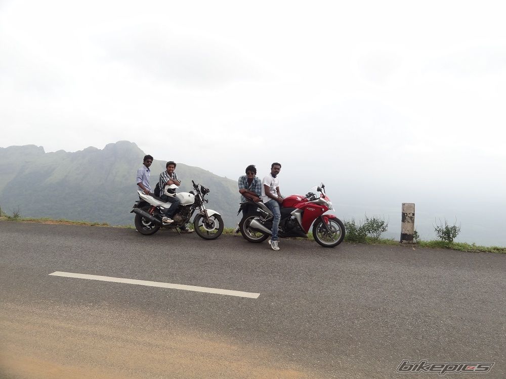 Photo 2519227
