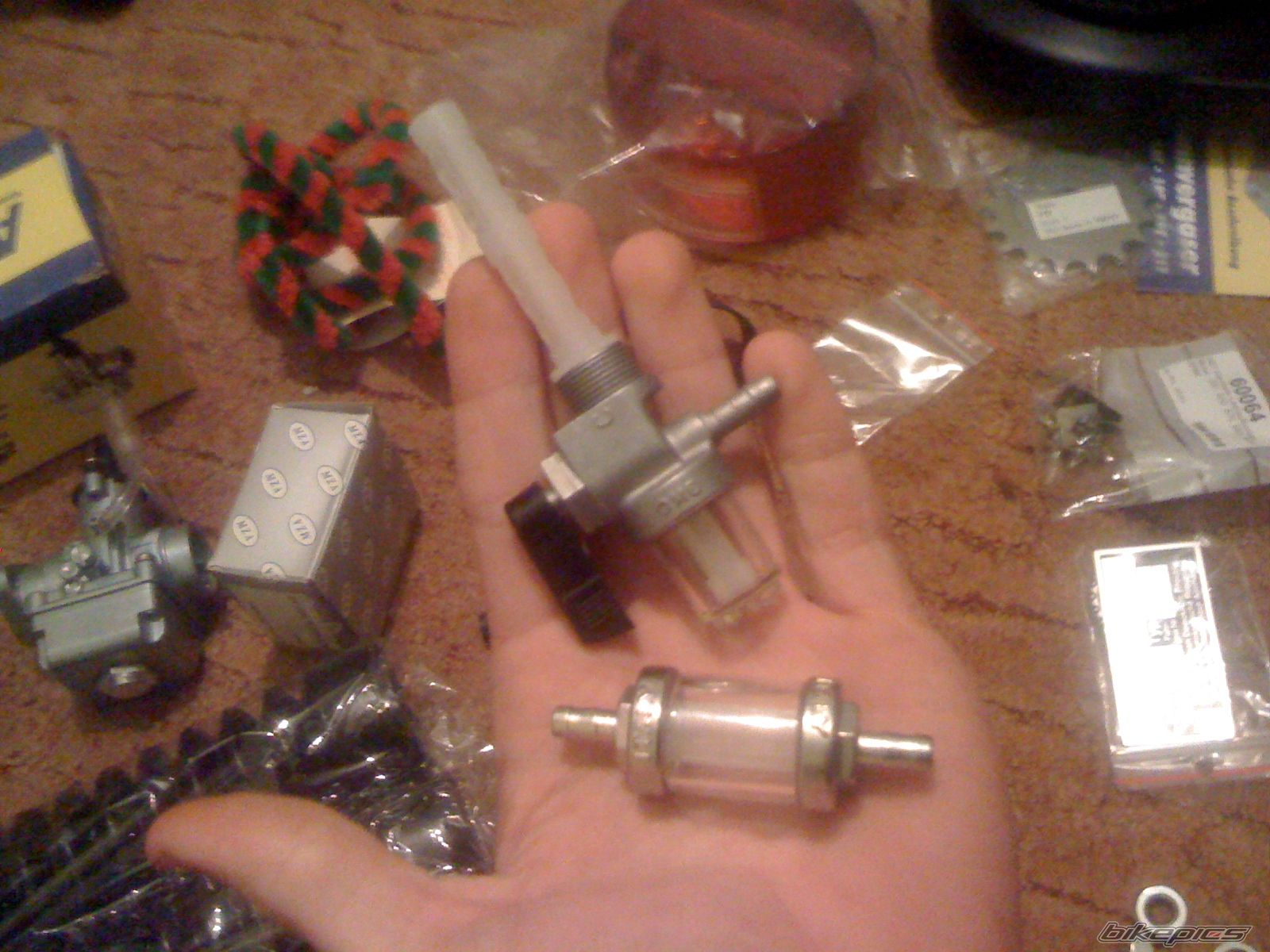 Photo 2519373