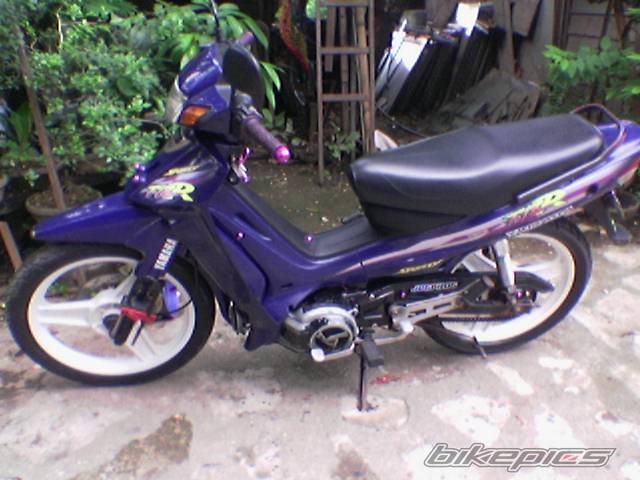 Photo 251942