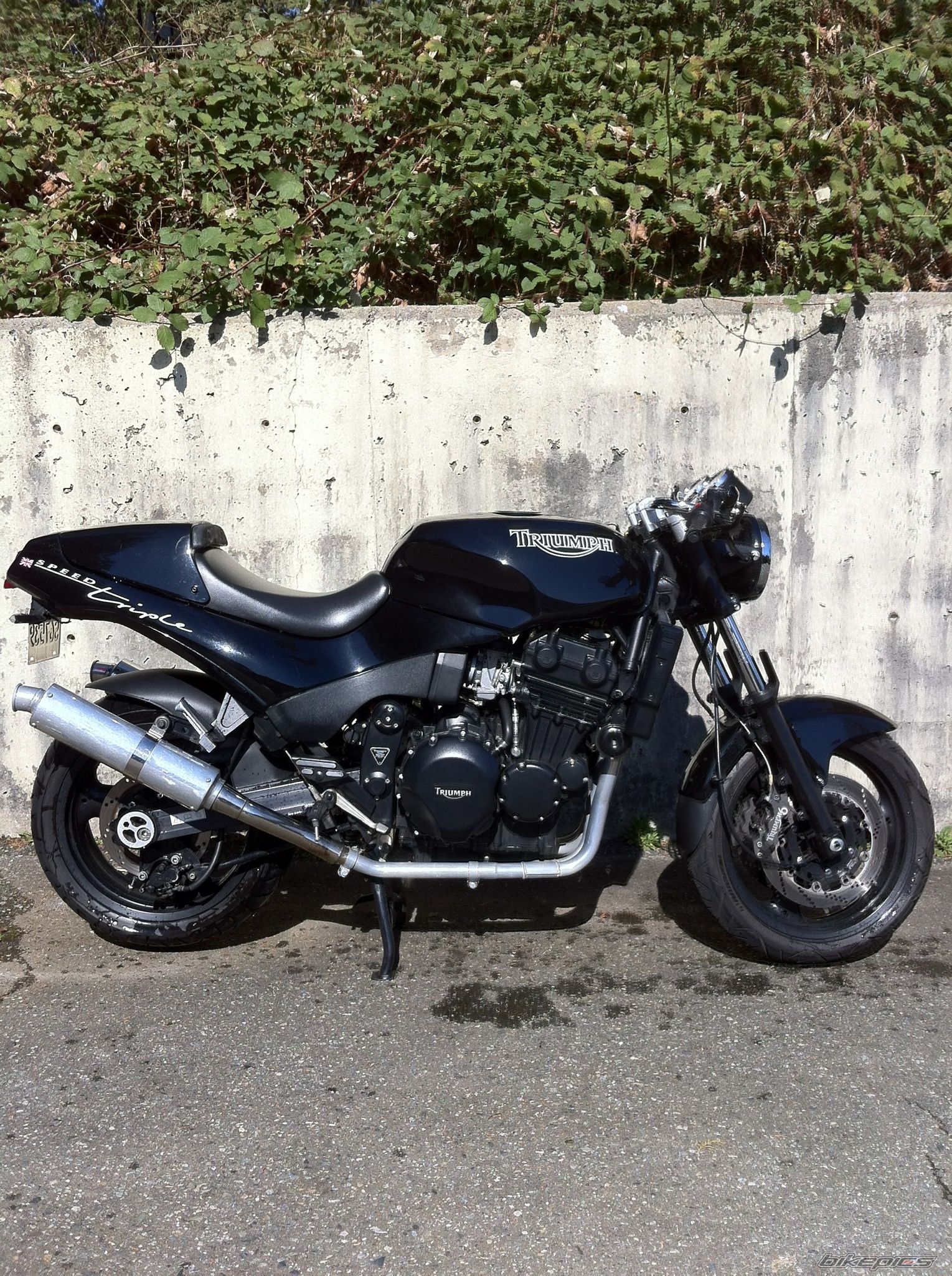 Photo 2519473