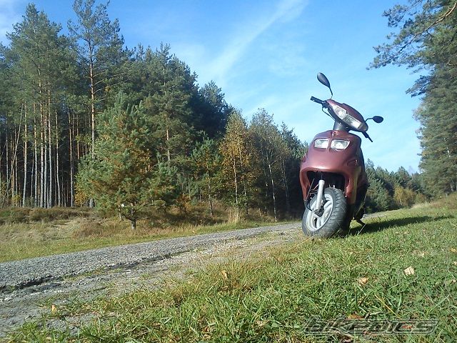 Bike Photo 2519535