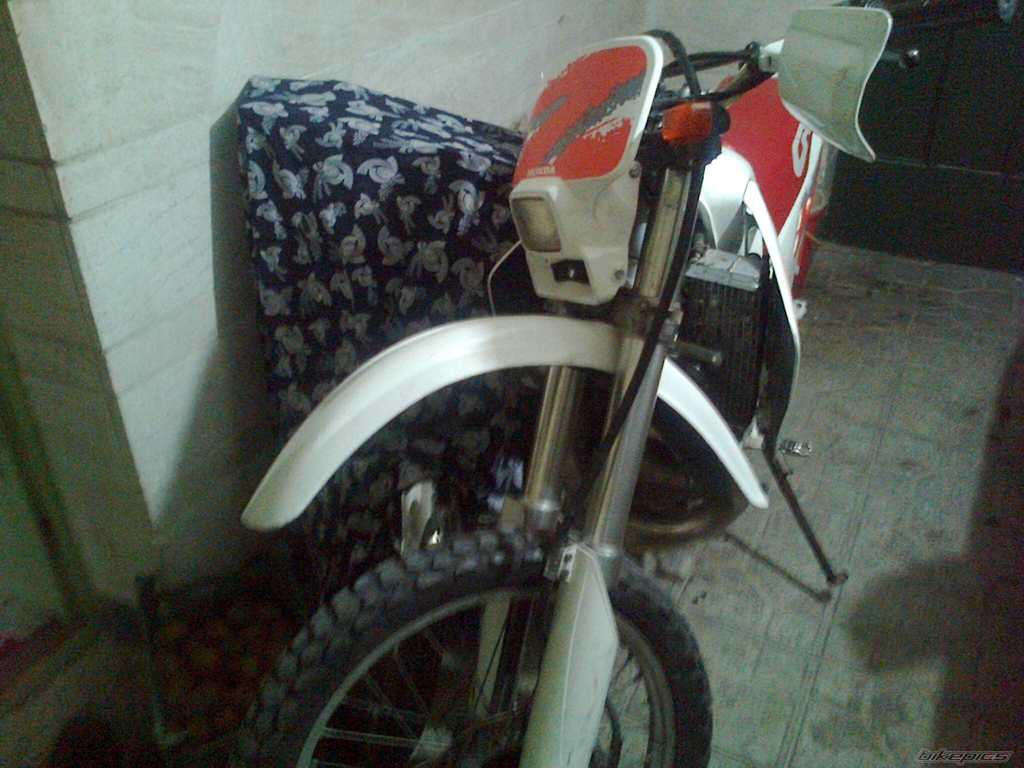 Photo 2519582