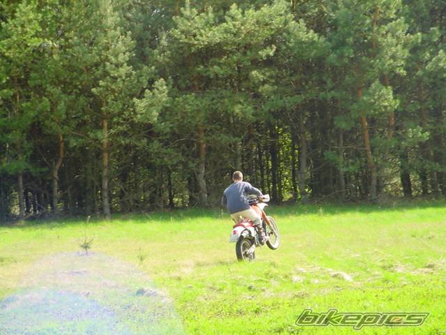 Photo 25196