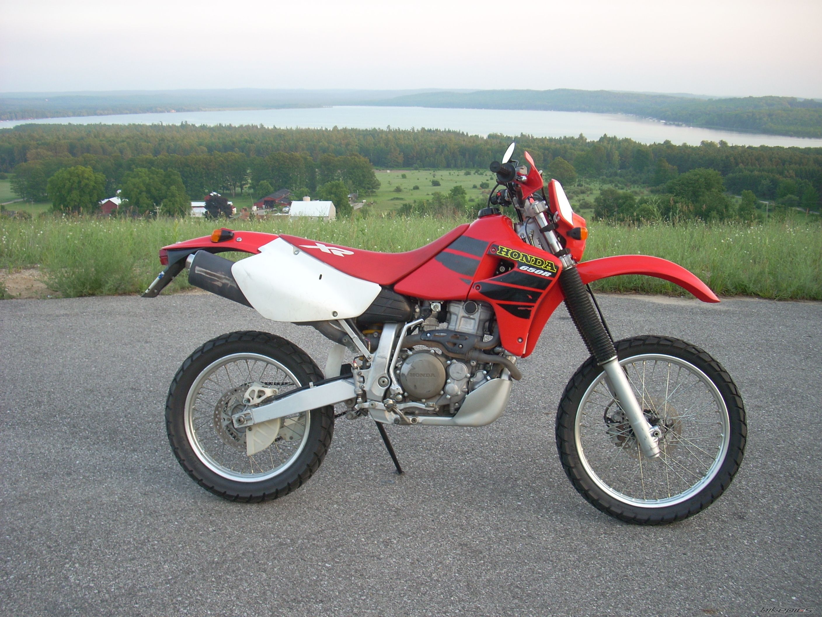 Photo 2519632
