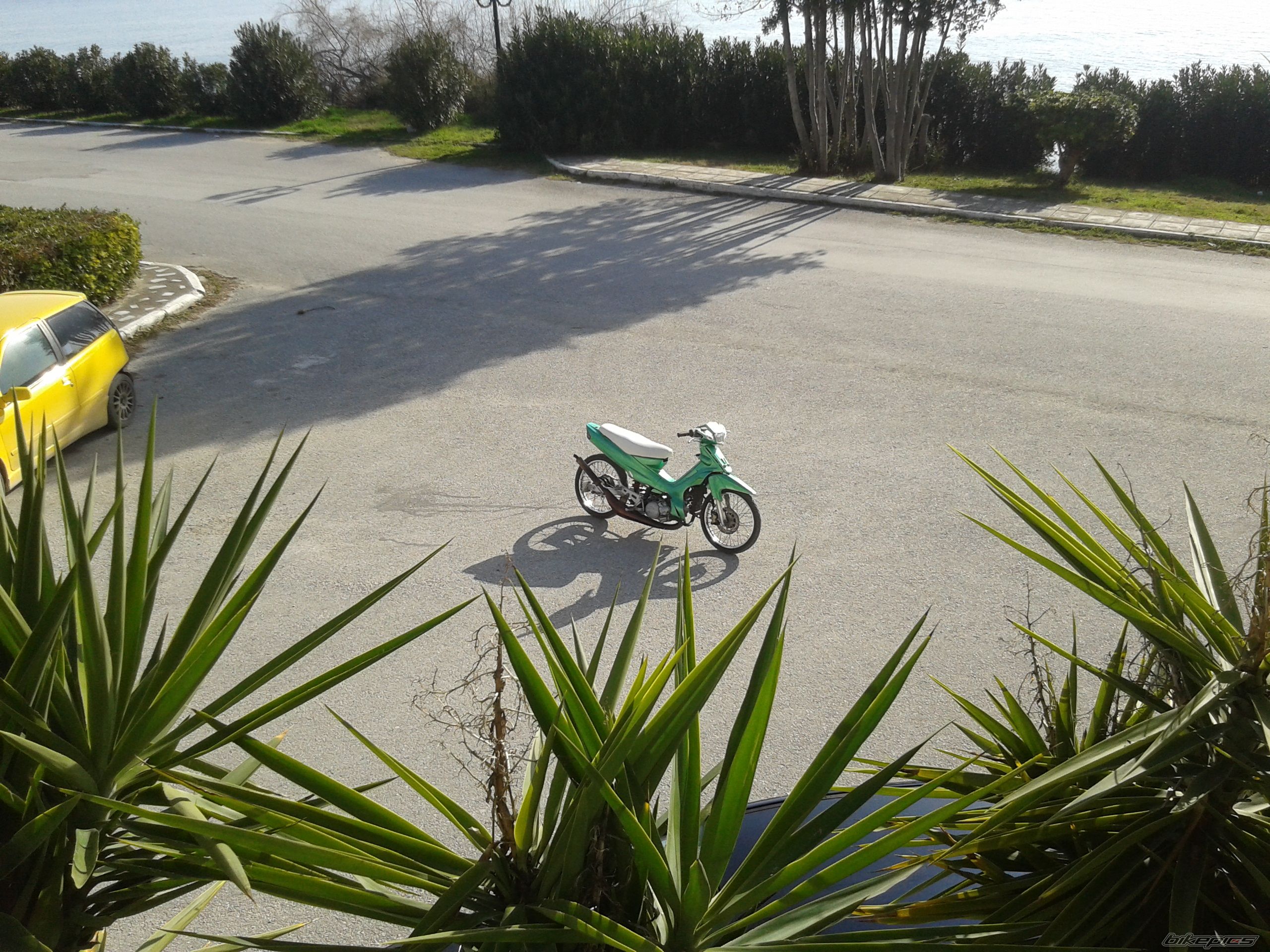 Photo 2519756