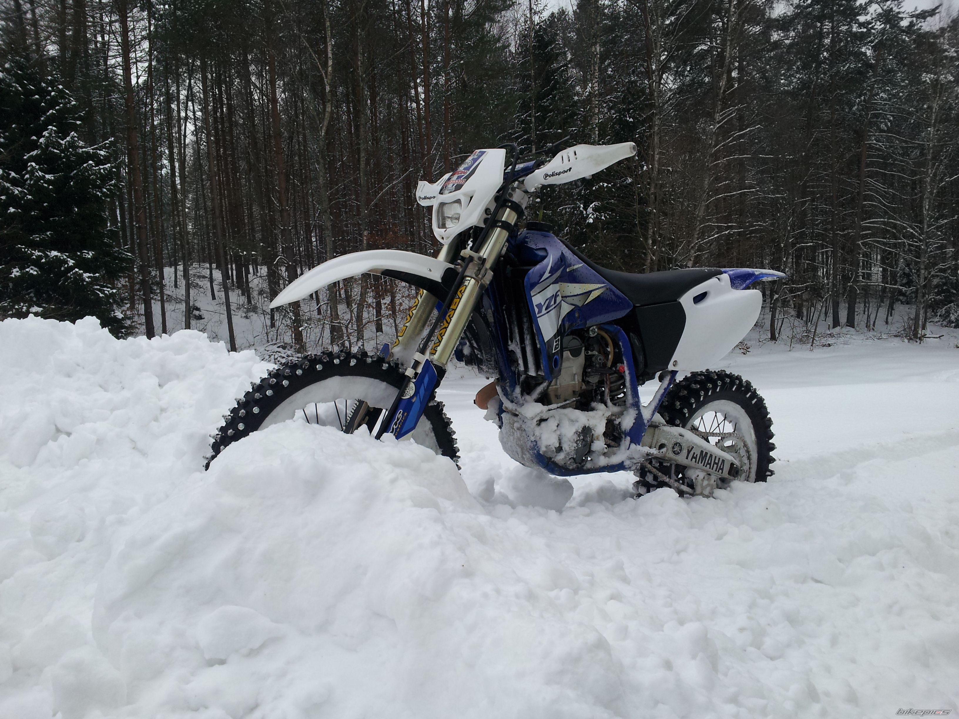 Photo 2519776
