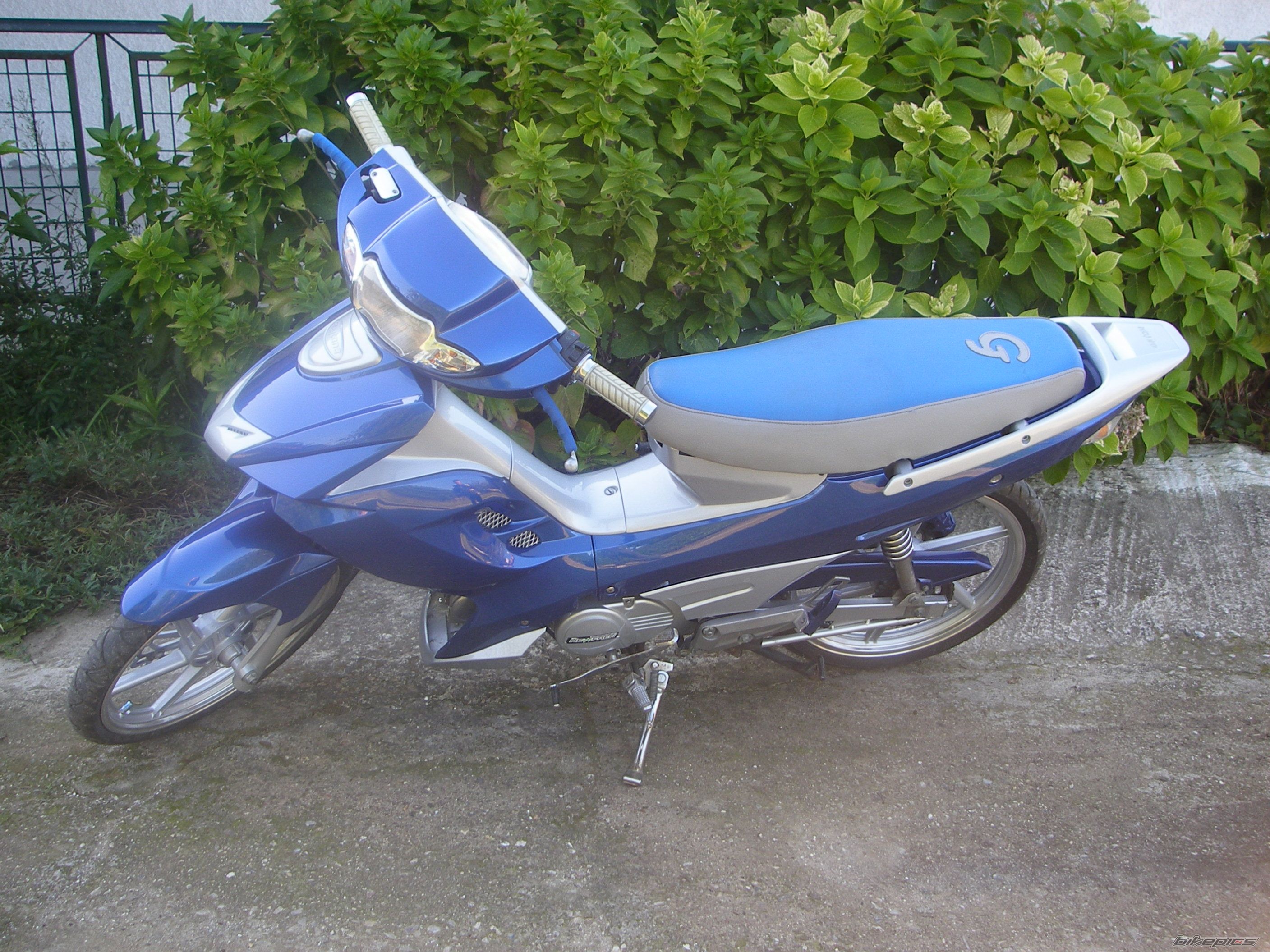 Photo 2519993