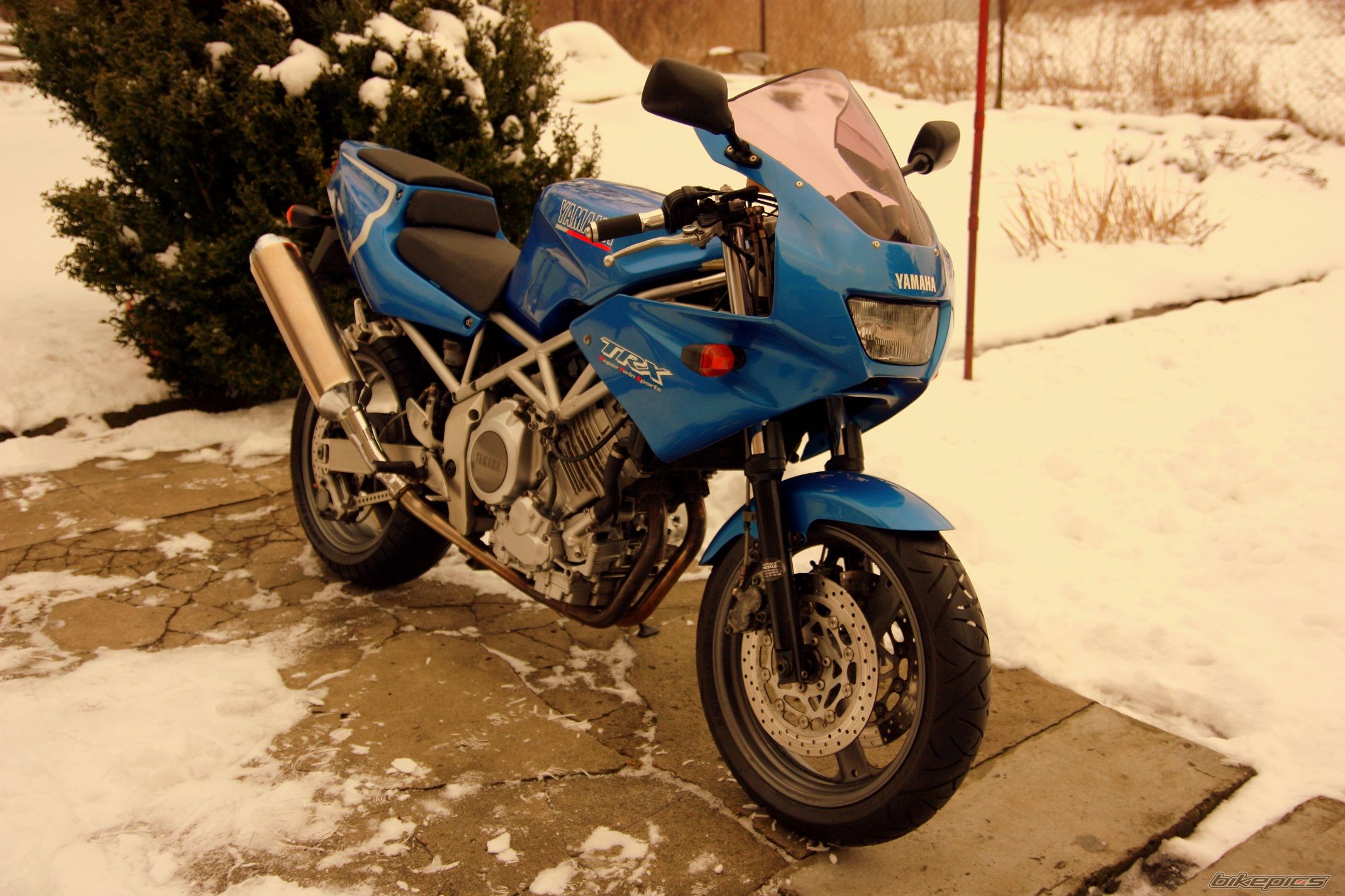Photo 2520067