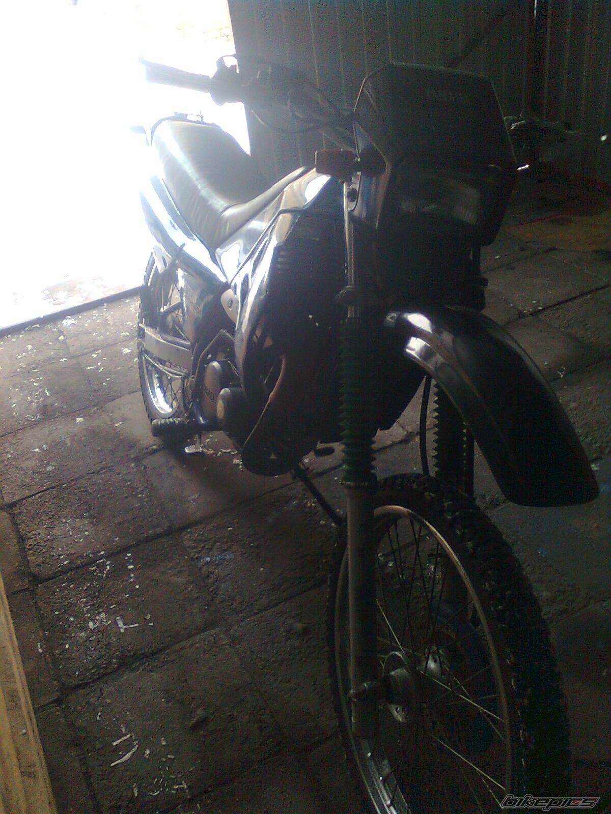 Photo 2520284