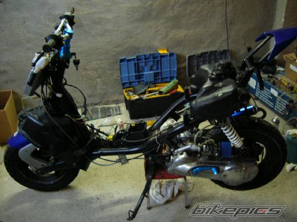 Photo 252033